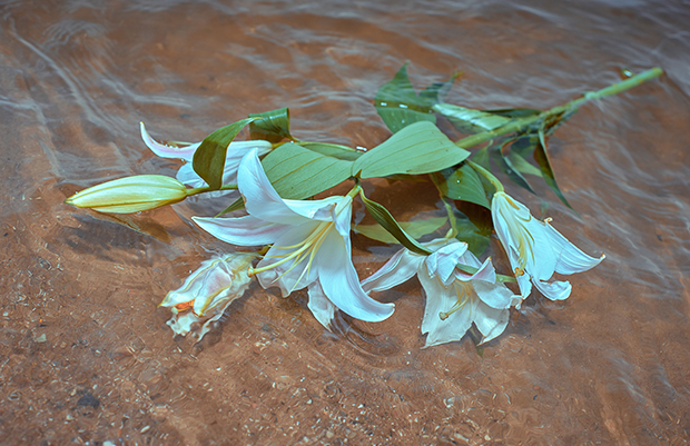 VGXW Magazine Style Editorial: Lily on the Water by Ksenia Dolgorukova