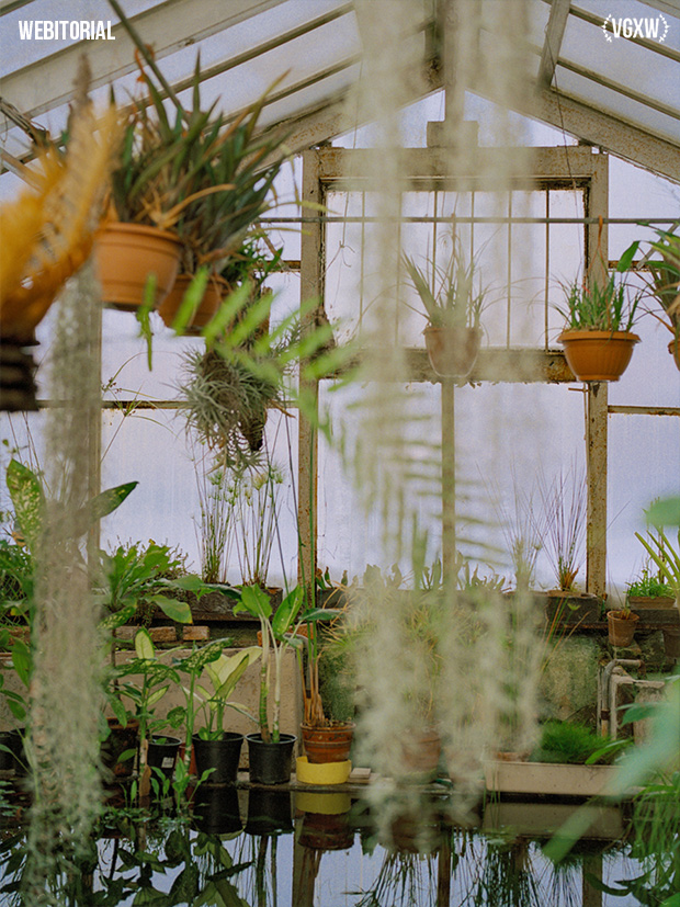 VGXW Magazine Style Webitorial: Mimicry by Veronica Azarian