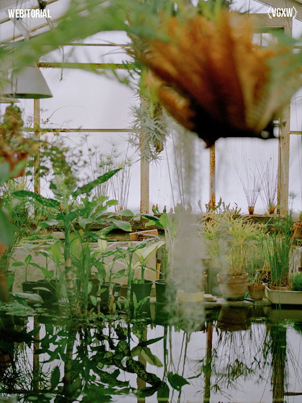 VGXW Magazine Style Webitorial: Mimicry by Veronica Azarian