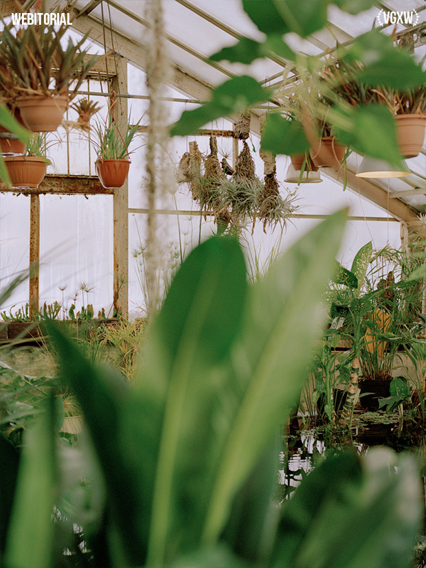 VGXW Magazine Style Webitorial: Mimicry by Veronica Azarian