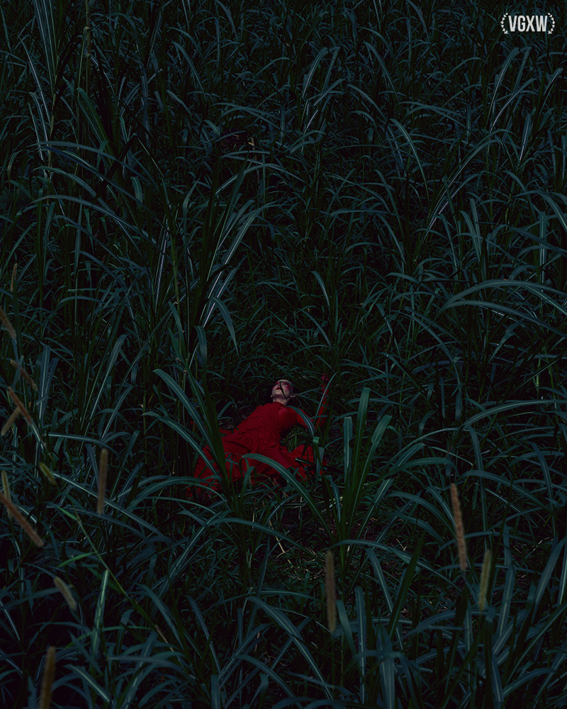 Green and Red: A Fine Art Photography Series by Alisa Morrison for Virtuogenix.Online