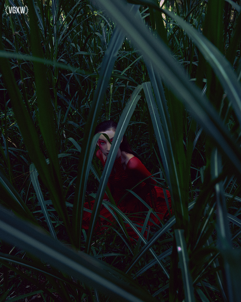 Green and Red: A Fine Art Photography Series by Alisa Morrison for Virtuogenix.Online