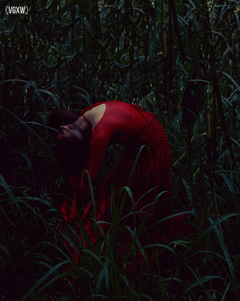 Green and Red: A Fine Art Photography Series by Alisa Morrison for Virtuogenix.Online